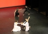 Scuola di Danza Modern Dance Angela Cerbino al Gran Galà edizione 2013